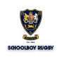 DHS Schoolboy Rugby Hits and Highlights logo