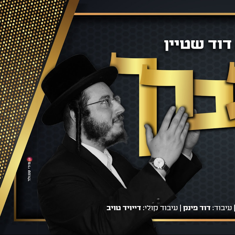משה דוד שטיין moshe david shtein
