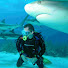 jEQN0spZ-rY-channel-avatar-TexasDiveMate