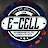 E-Cell, SAC, University Of Delhi