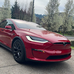 Q’s Tesla Model X Avatar
