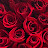 @karineshahnazaryan7202