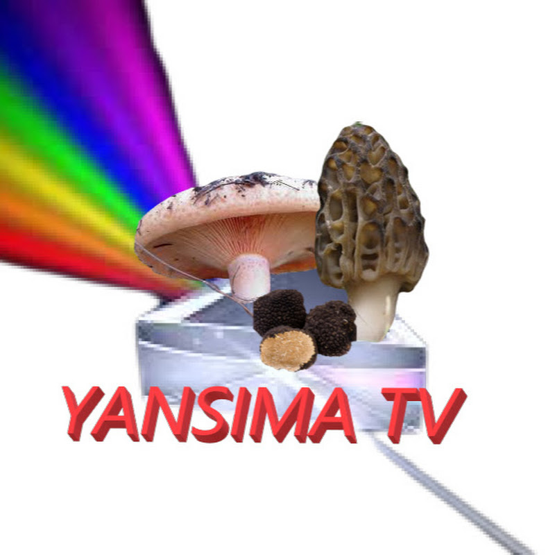 Yansıma Tv