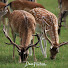 jkgKZhG4KPk-channel-avatar-Glossy Track