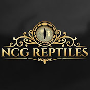 NCG Reptiles