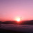 @벗꽃-e6z