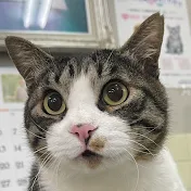 とも君の のんびりリハビリ生活 -Tomo's rehab life -