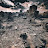 @Massacre1s Avatar