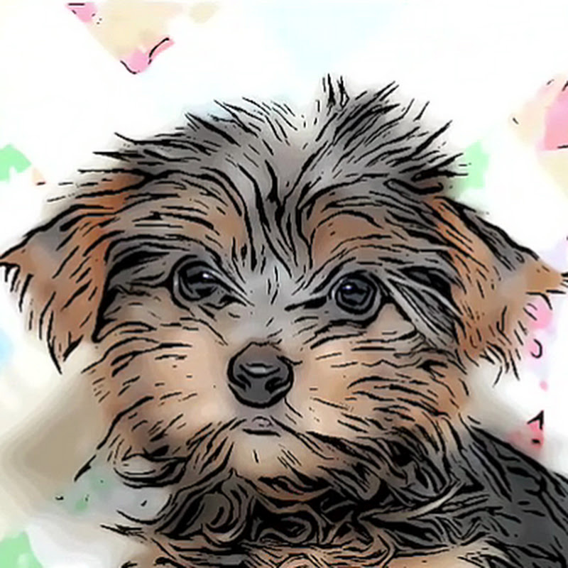 Phoebe