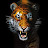 @tigerclaw234