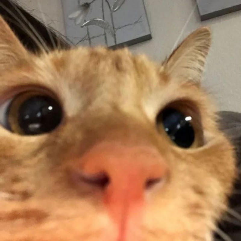 lumie