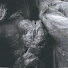 N_L2KMWheug-channel-avatar-LINESINWAX