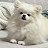 @user-iz4kb7to7d