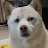 @bowwow0115