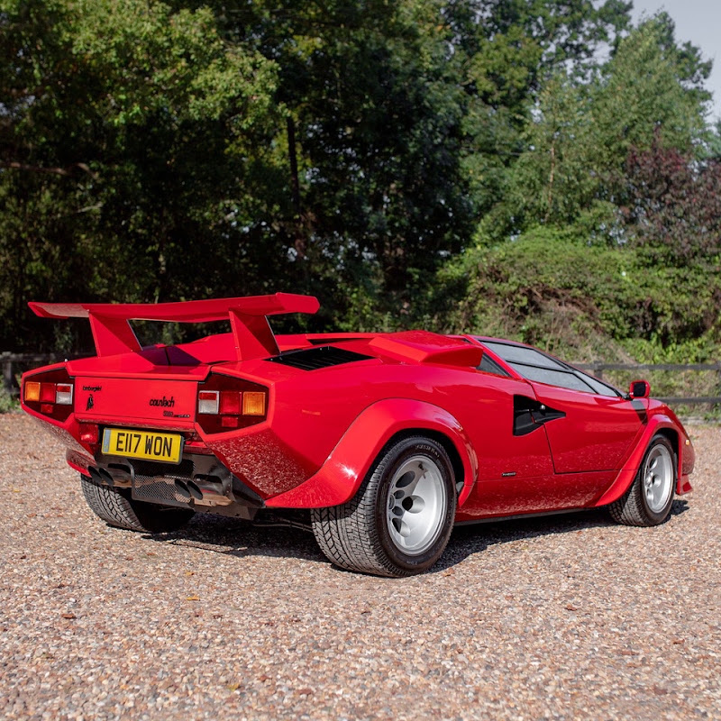 Countach Daisy