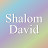 Shalom David