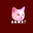 qDBvc29eseM-channel-avatar-أنماط