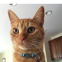 Griff's Buckeye Corner