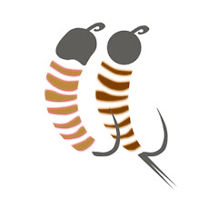 Nymphevolution ( French Nymphing )