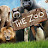 Morning Zoo