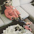 @skippastaterangel5333's avatar