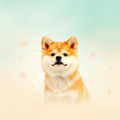 自游家高端车アイコン画像