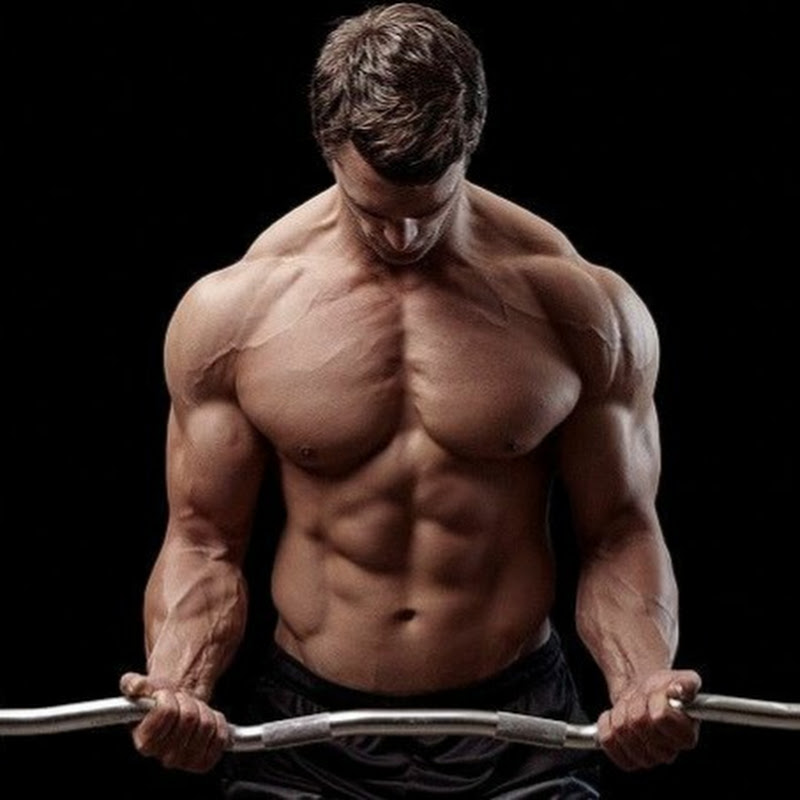 fitness fit zone