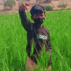 Vishal 46