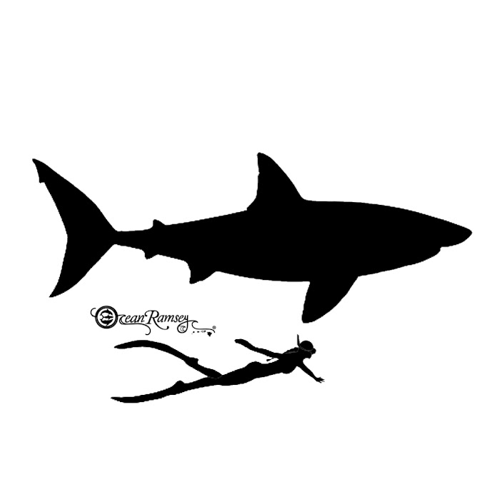 OCEAN RAMSEY shark and ocean conservation & diving Net Worth & Earnings (2024)