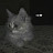 @SALMA-k7m3c