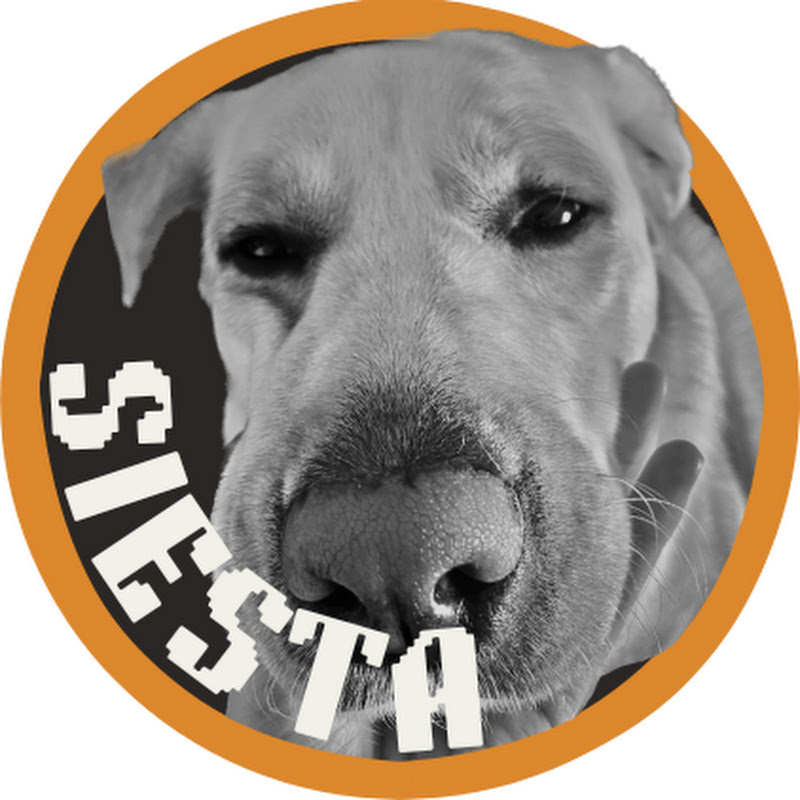 Siesta Dog TV