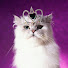 pCVAlpzAFeI-channel-avatar-QUEEN