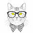 r_TglVQjdBY-channel-avatar-KOCOUR-2