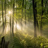 LwAwm1bEhu4-channel-avatar-Calming Atmospheres