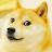 @Doge_07