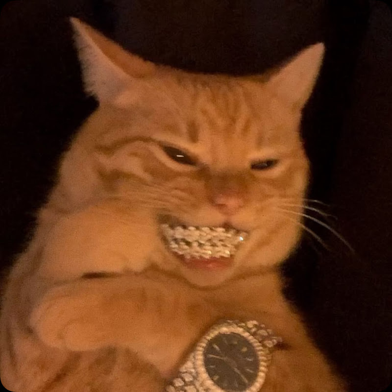 Channel Avatar