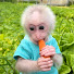 Q77EIMldSdY-channel-avatar-ลิง Lily and Happy Farm 01