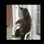 Bear In Chair logo