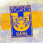 Tigres Oficial