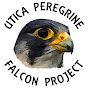 Falcon Watch Utica