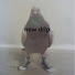AjEj_gUNX3Y-channel-avatar-Pigeon on crack 
