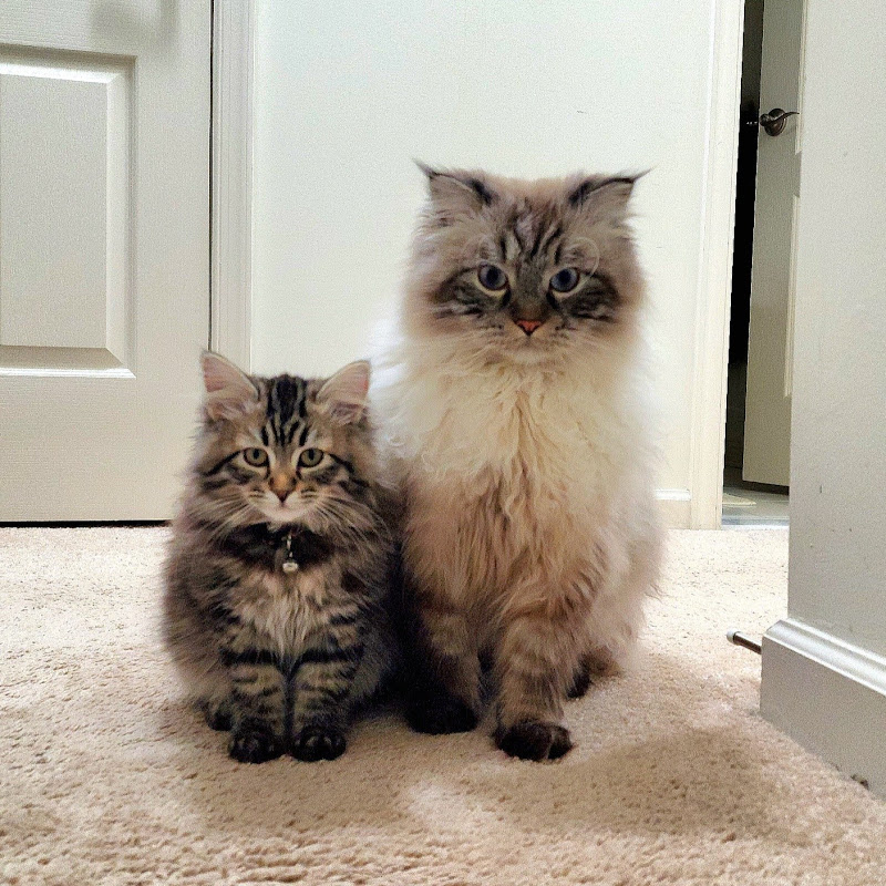 Lifewithollie_and_me (Ollie & Ava)