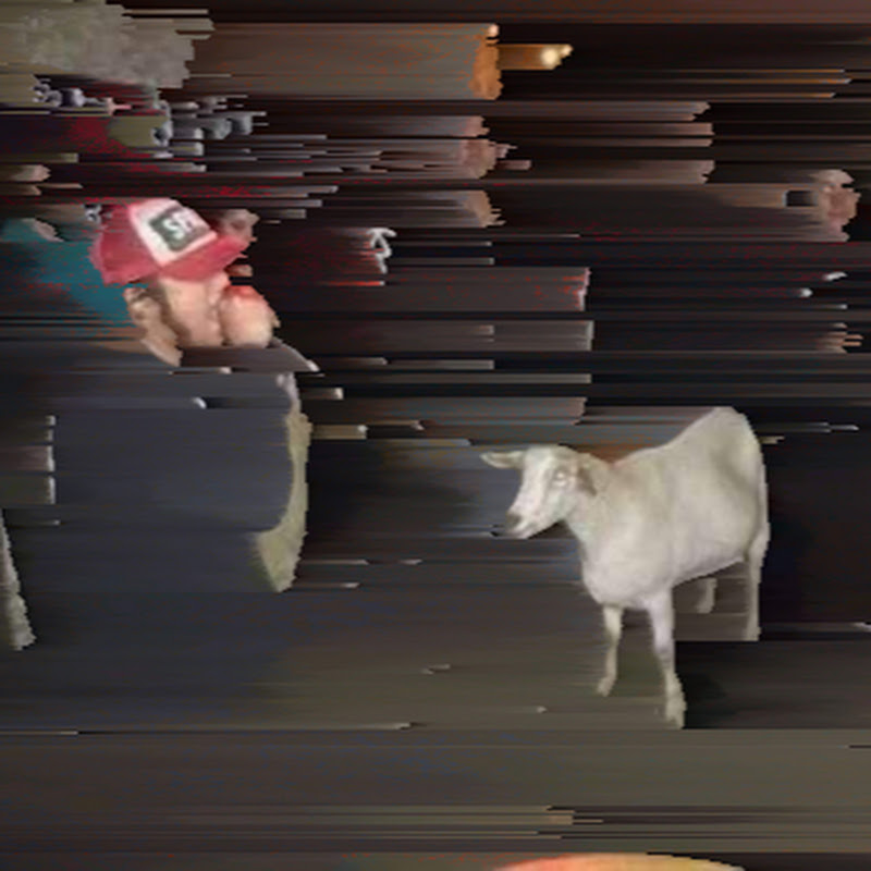 SpeedRun God