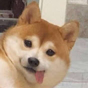 开箱嘤嘤怪