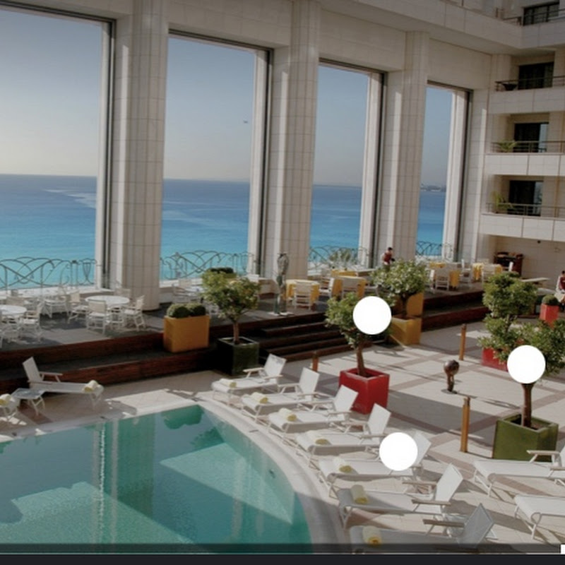 Hotel Reviews