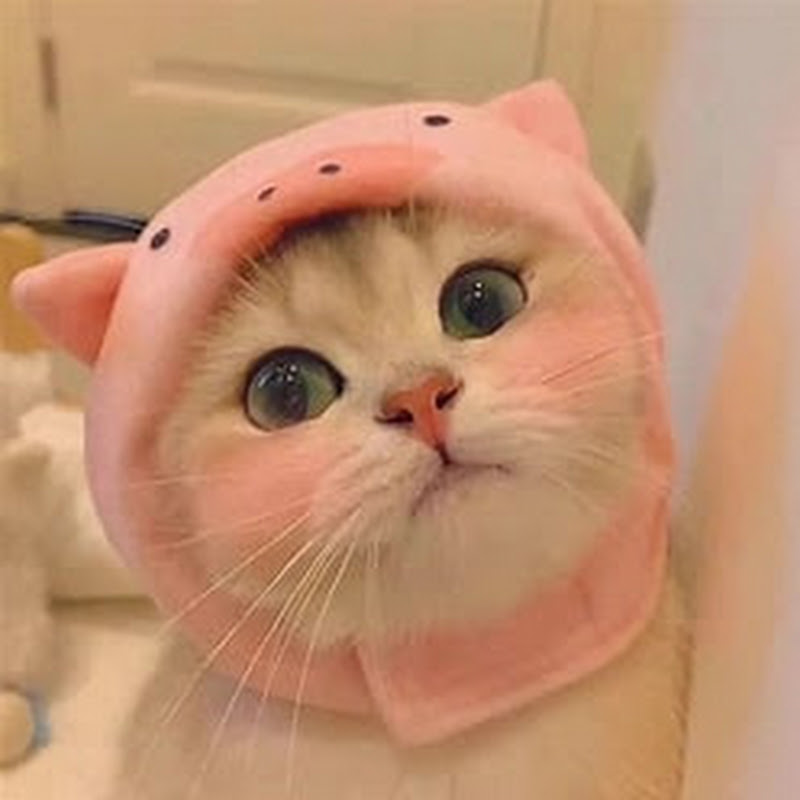 爽文小说馆 Logo