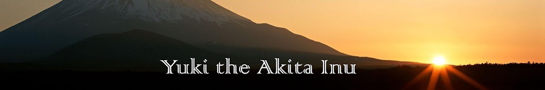 Yuki the Akita Inu YouTube channel avatar