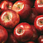 Apple Fruit shimla logo