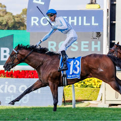 Kurrinda Bloodstock Syndications