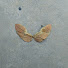 aQogxbWZ_ZA-channel-avatar-The Lee